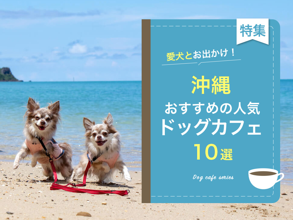 沖縄のドッグカフェ特集！ペットOKのおすすめ施設10選【2023年】